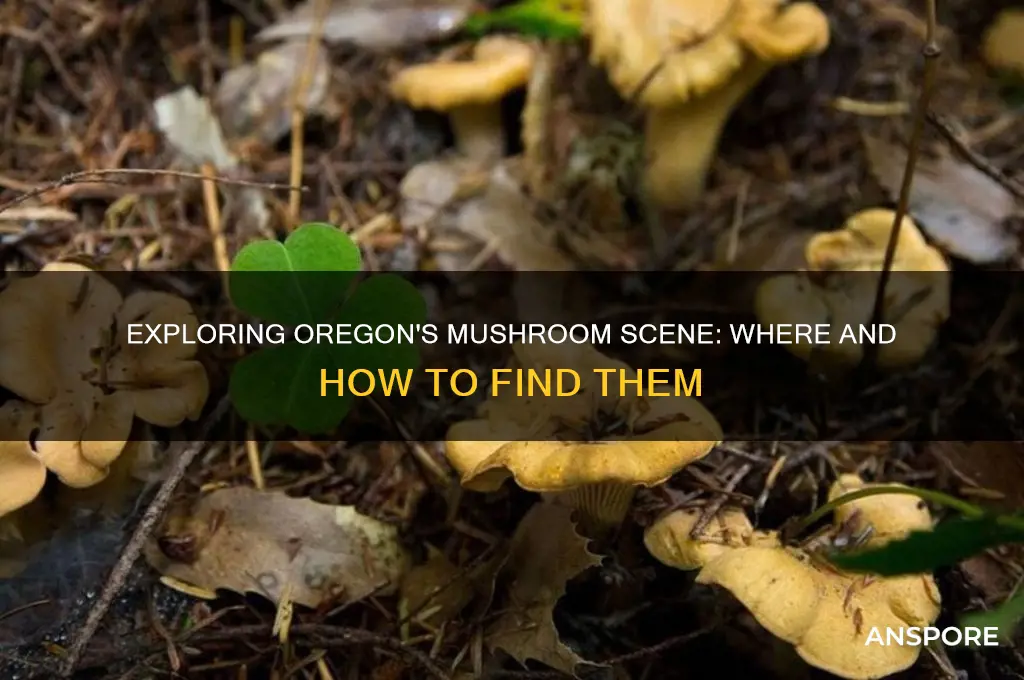 can you get mushrooms in oregon