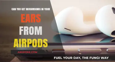 AirPods and Ear Health: Can Prolonged Use Cause Fungal Infections?
