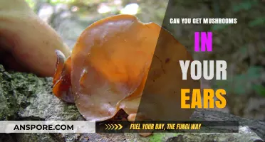 Can Mushrooms Grow in Your Ears? Facts and Prevention Tips