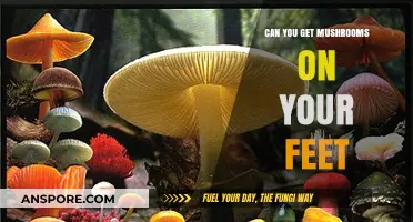 Can You Get Mushrooms on Your Feet? Uncovering the Truth