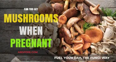 Pregnancy and Mushrooms: Safety, Benefits, and Risks Explained