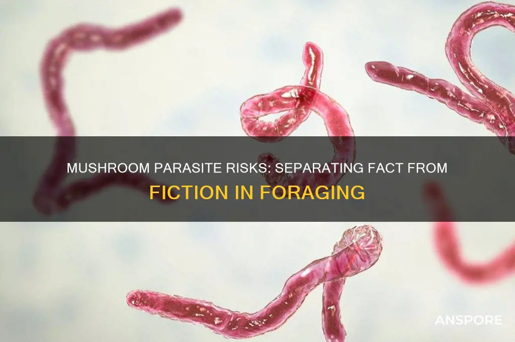 can you get parasites from mushrooms