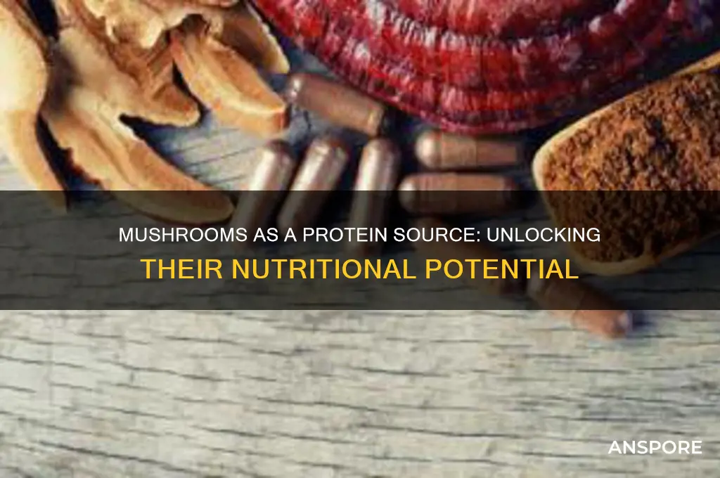 can you get protein from mushrooms