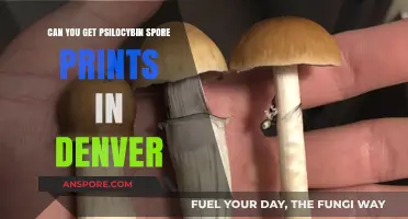 Denver's Psilocybin Spore Prints: Legal Access and Availability Explained