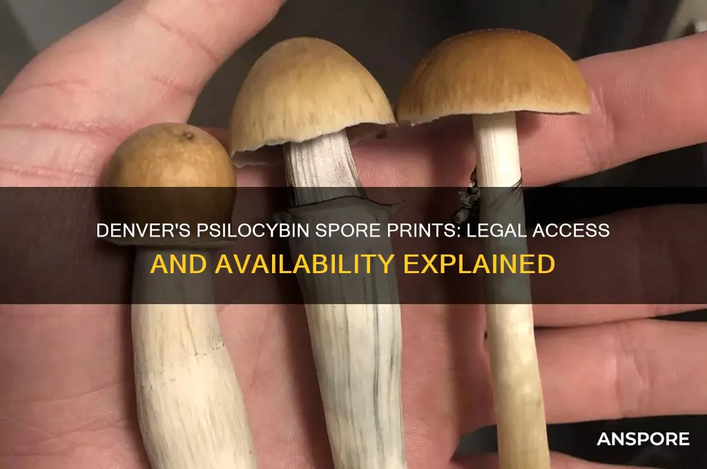 can you get psilocybin spore prints in denver