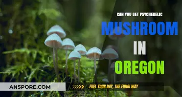 Oregon's Psychedelic Mushroom Laws: What You Need to Know