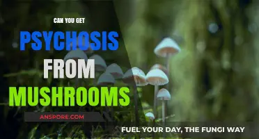 Mushrooms and Psychosis: Unraveling the Risks of Psychedelic Experiences