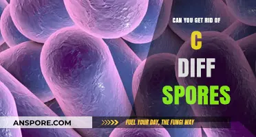Eliminating C. Diff Spores: Effective Strategies for Complete Eradication