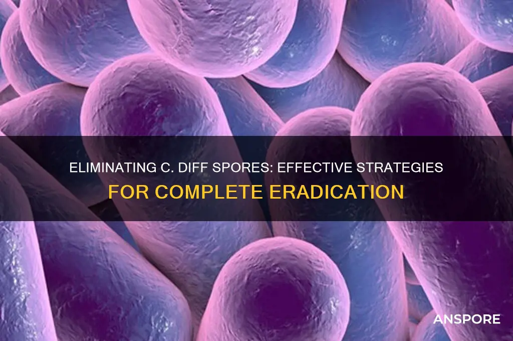 can you get rid of c diff spores