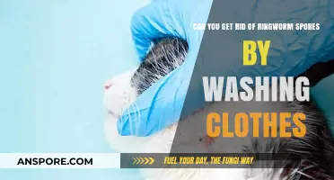 Washing Clothes to Eliminate Ringworm Spores: Effective or Not?