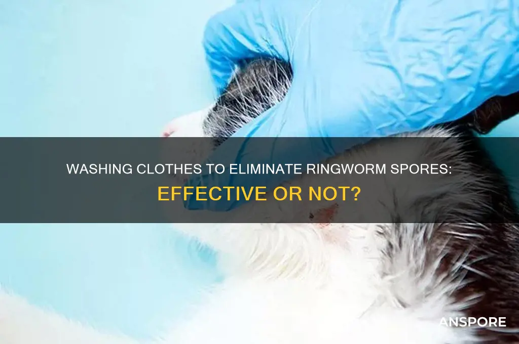 can you get rid of ringworm spores by washing clothes