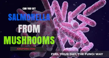 Can Mushrooms Cause Salmonella? Uncovering the Truth About Food Safety