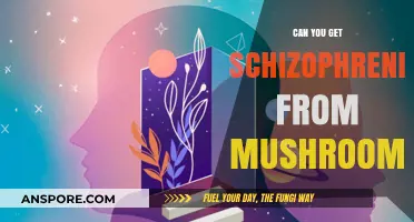Mushrooms and Schizophrenia: Unraveling the Myth and Scientific Truth