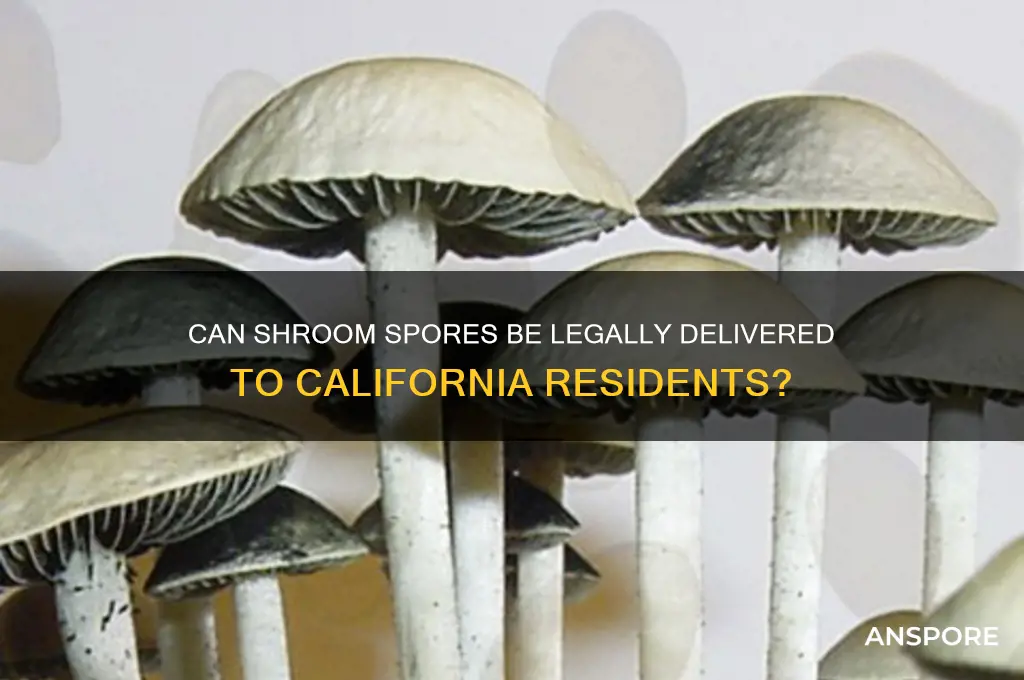 can you get shroom spores delivered to california