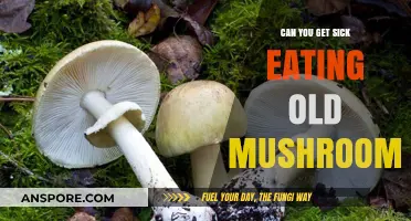 Old Mushrooms: Risks of Eating Aged Fungi and Potential Illness