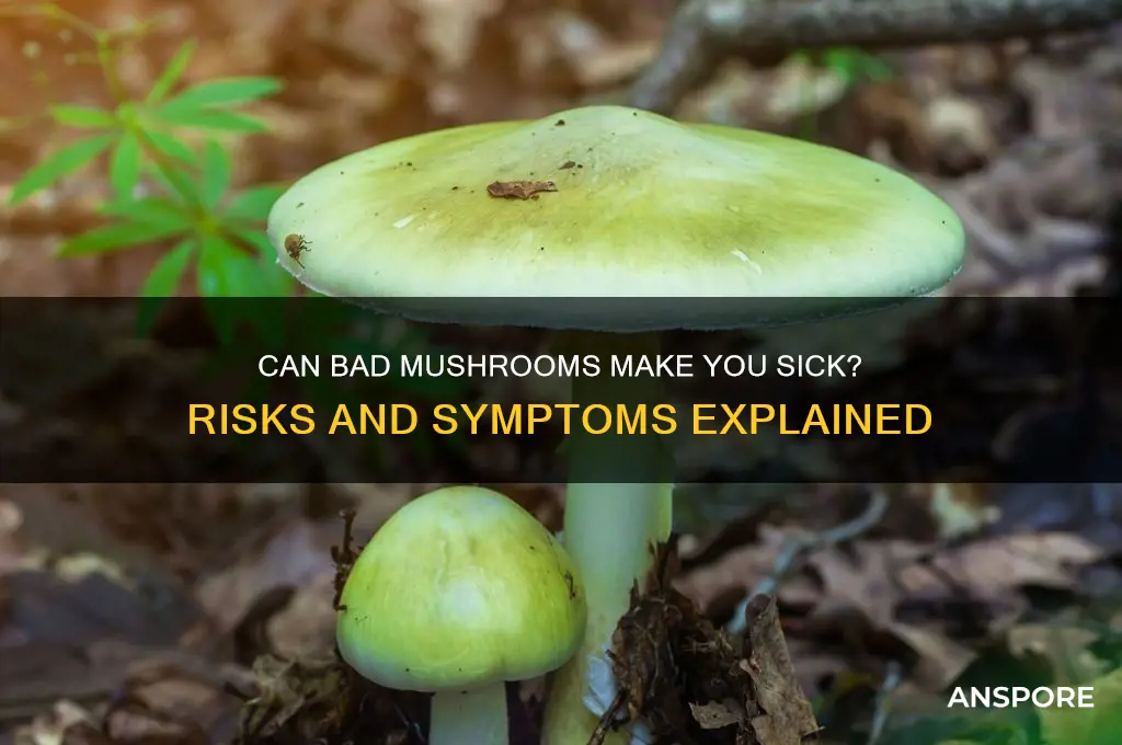 can you get sick from bad mushrooms