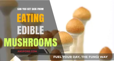 Can Edible Mushrooms Make You Sick? Risks and Precautions