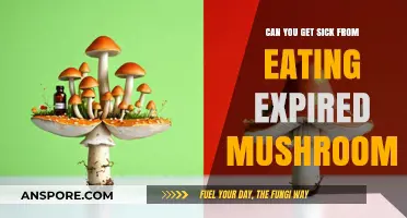 Expired Mushrooms: Risks of Eating Past Their Prime Fungi