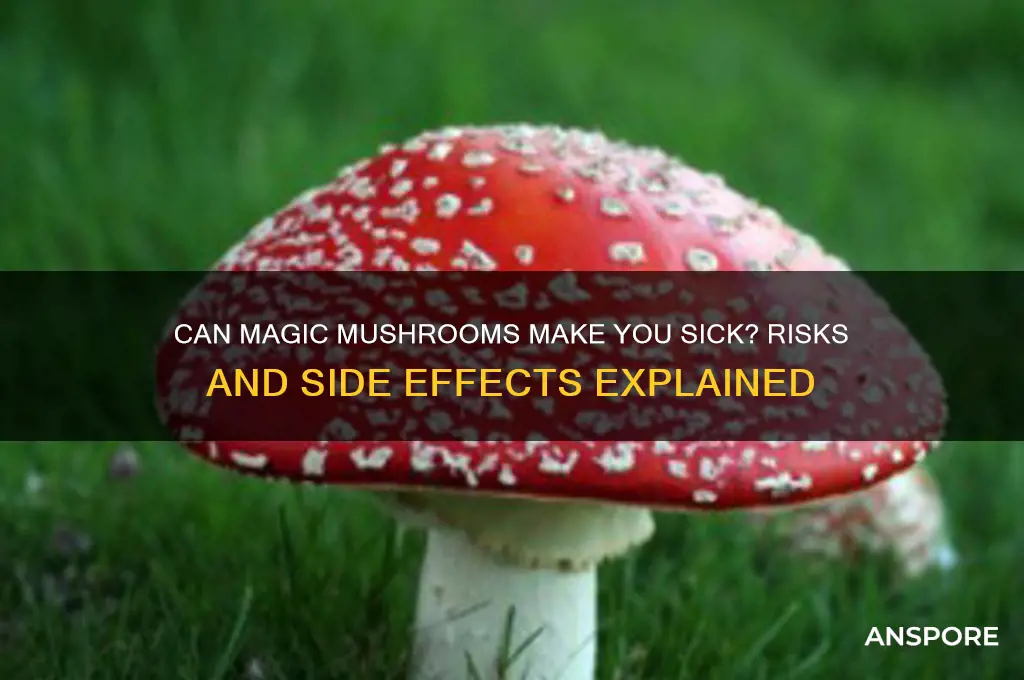 can you get sick from magic mushrooms