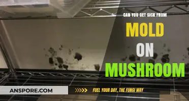 Moldy Mushrooms: Understanding Health Risks and Safe Consumption Practices