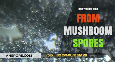 Can Mushroom Spores Make You Sick? Uncovering the Hidden Risks