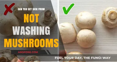 Mushroom Hygiene: Risks of Eating Unwashed Fungi Explained