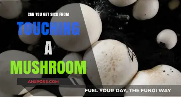 Can Touching Mushrooms Make You Sick? Facts and Myths Revealed