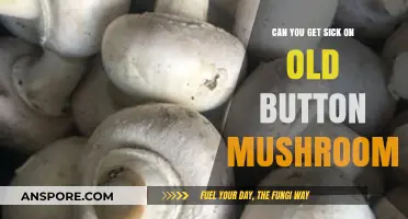 Old Button Mushrooms: Can They Make You Sick? Find Out