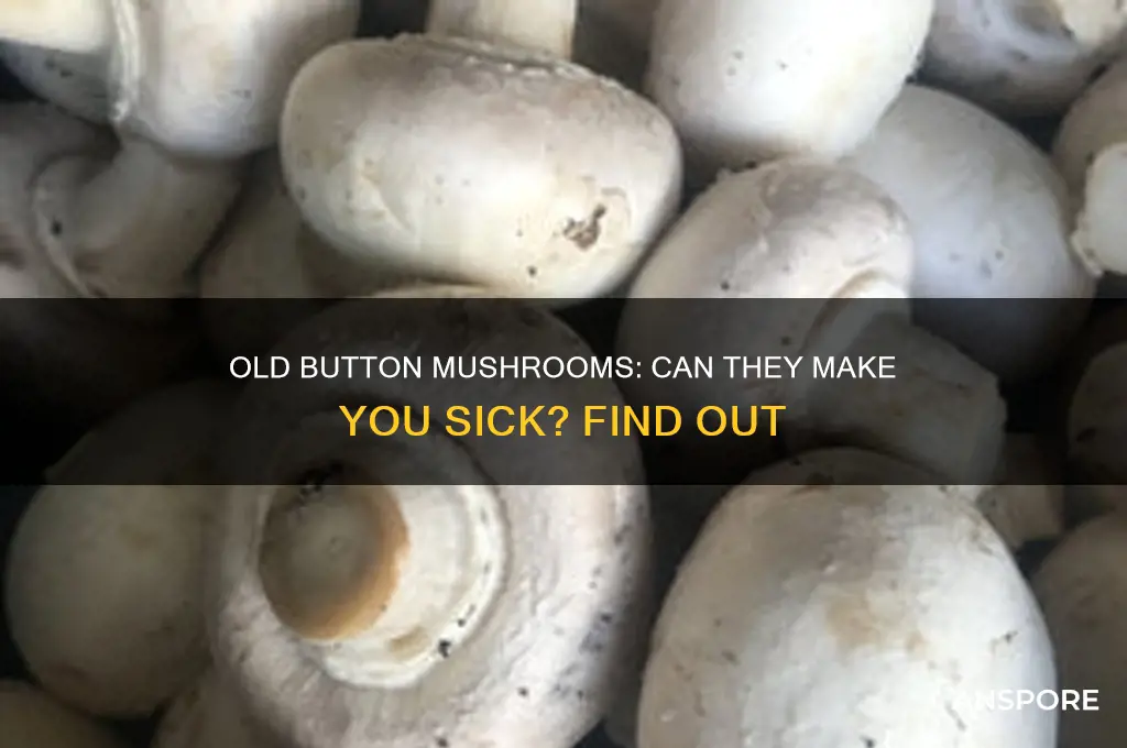 can you get sick on old button mushrooms