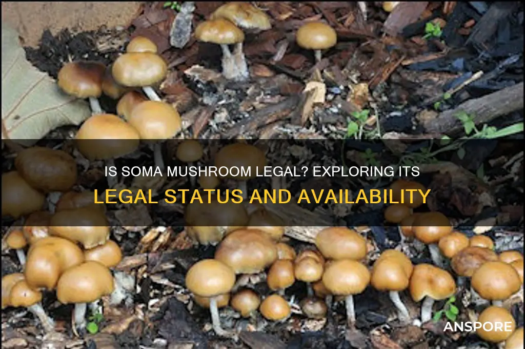 can you get soma mushroom legally
