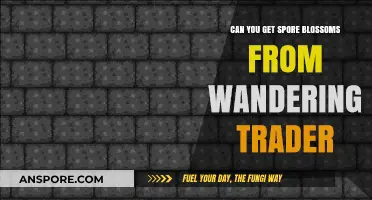 Wandering Trader Spore Blossoms: Can You Obtain Them in Minecraft?