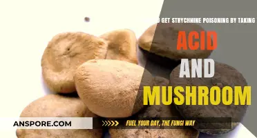 Acid, Mushrooms, and Strychnine: Unraveling the Poisoning Myth