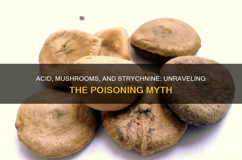 can you get strychnine poisoning by taking acid and mushrooms