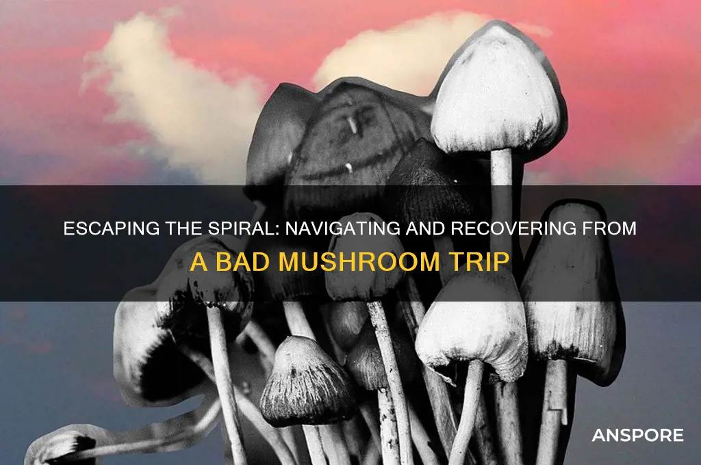 can you get stuck in a bad mushroom trip