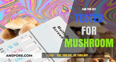 Can You Get Tested for Mushrooms? Exploring Drug Testing Options