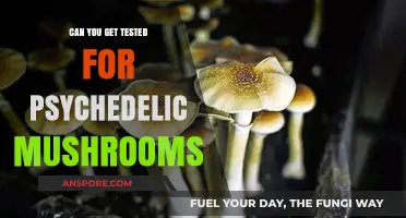 Testing for Psychedelic Mushrooms: What You Need to Know