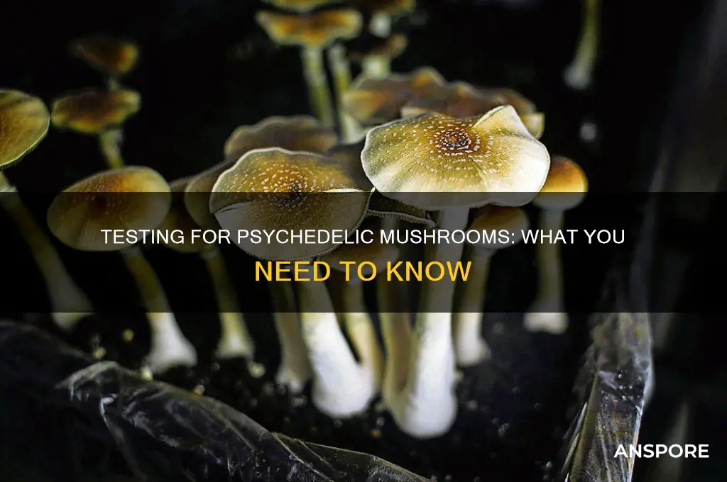 can you get tested for psychedelic mushrooms