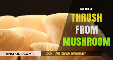 Can Eating Mushrooms Cause Thrush? Unraveling the Fungal Connection