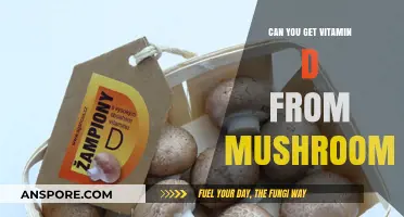 Mushrooms as a Vitamin D Source: Unlocking Sunlight in Fungi