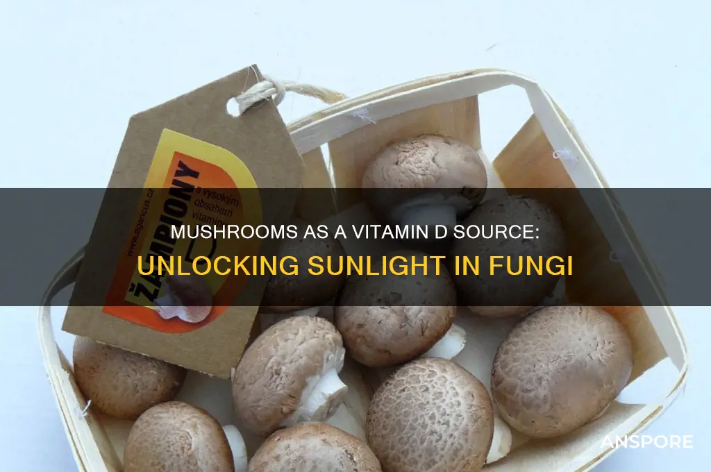can you get vitamin d from mushrooms