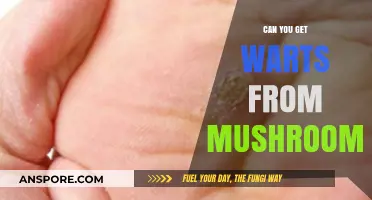 Can Mushrooms Cause Warts? Debunking Myths and Facts