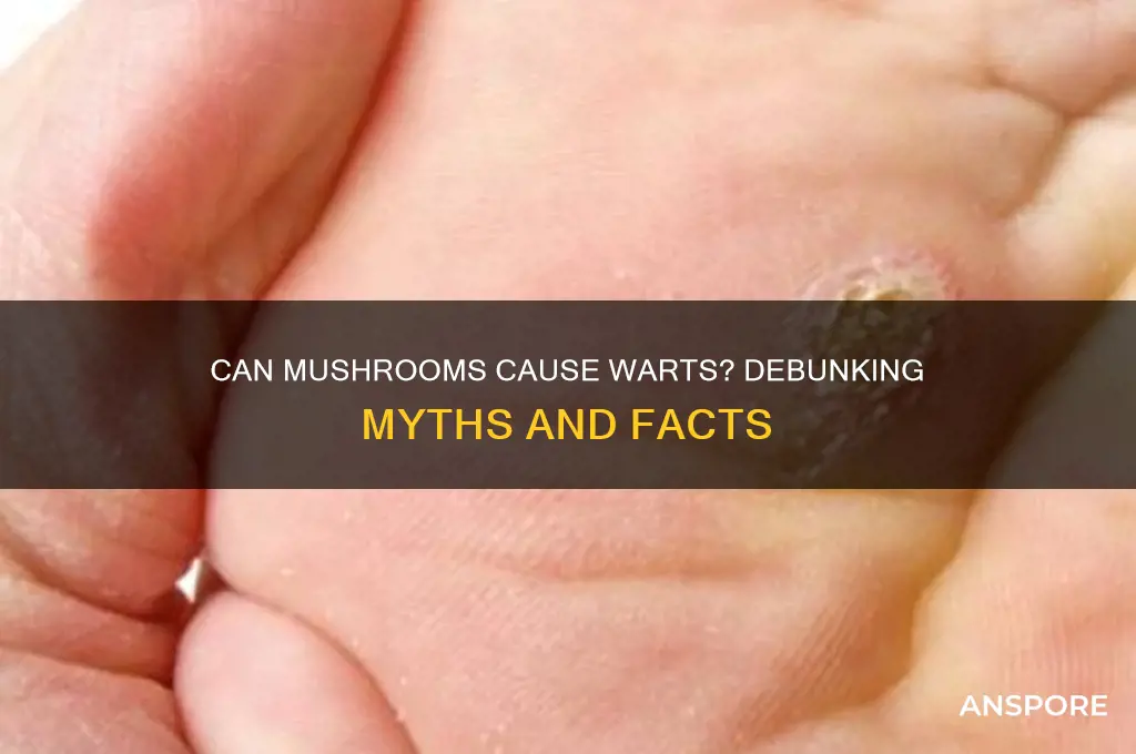 can you get warts from mushrooms