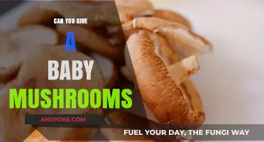 Can Babies Eat Mushrooms? Safety, Benefits, and Risks Explained