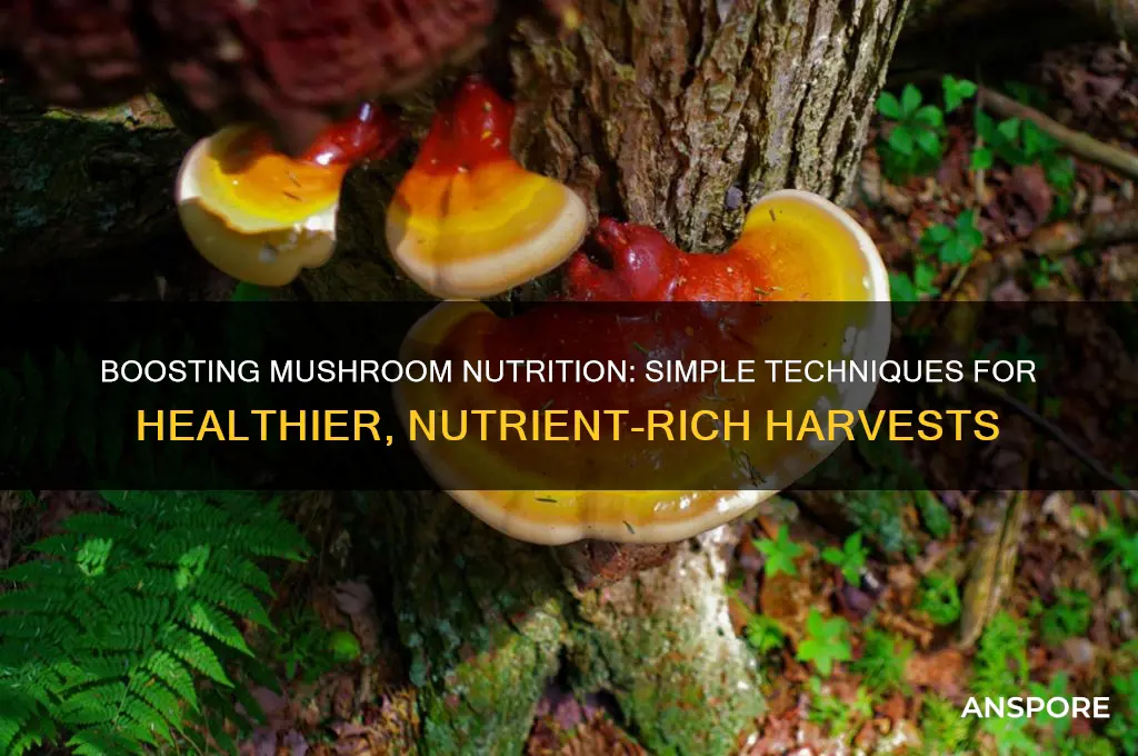 can you give mushrooms more nutrients