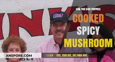 Are Cooked Spicy Mushrooms Safe for Puppies to Eat?