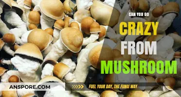 Mushrooms and Mental Health: Can Psychedelic Fungi Lead to Madness?