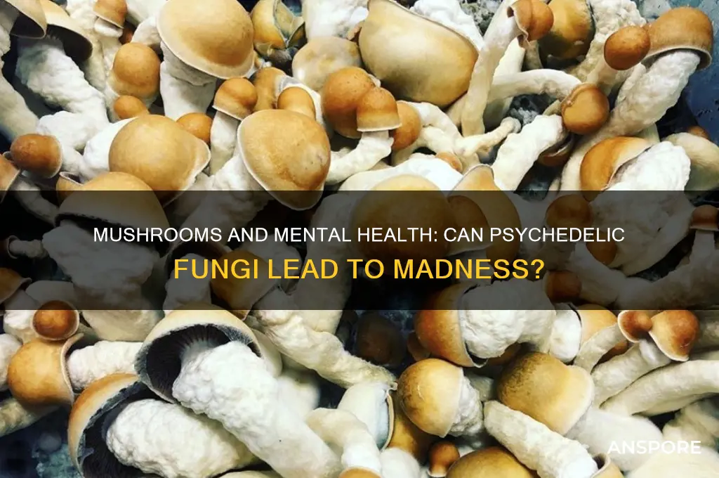 can you go crazy from mushrooms
