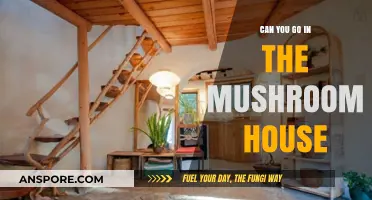 Exploring the Mushroom House: Can You Step Inside This Unique Home?