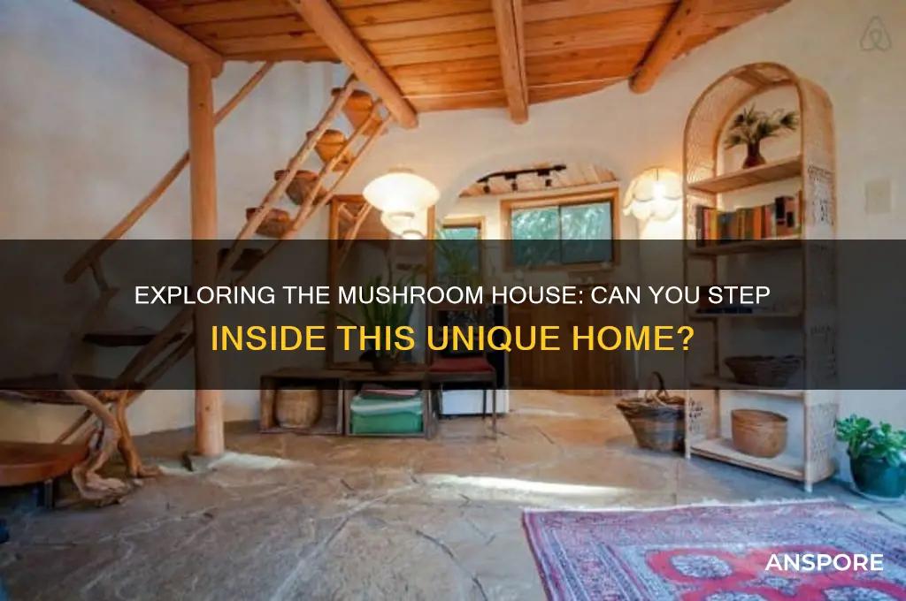 can you go in the mushroom house