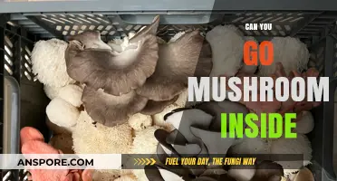 Can You Grow Mushrooms Indoors? A Beginner's Guide to Success